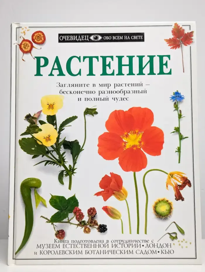 Растение