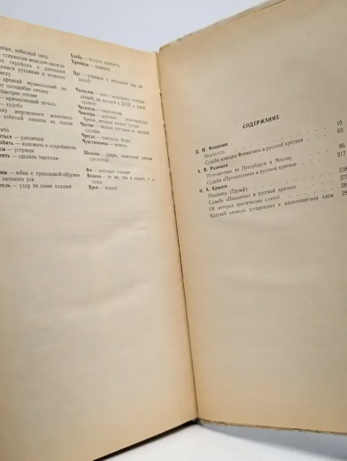 Недоросль. Путешествие из Петербурга в Москву. Подщипа