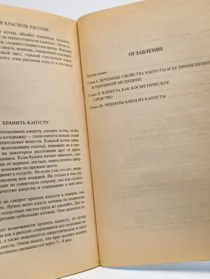 Все об обычной капусте