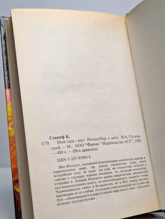 Мой сын маг