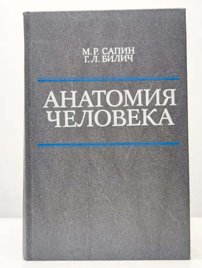Анатомия человека