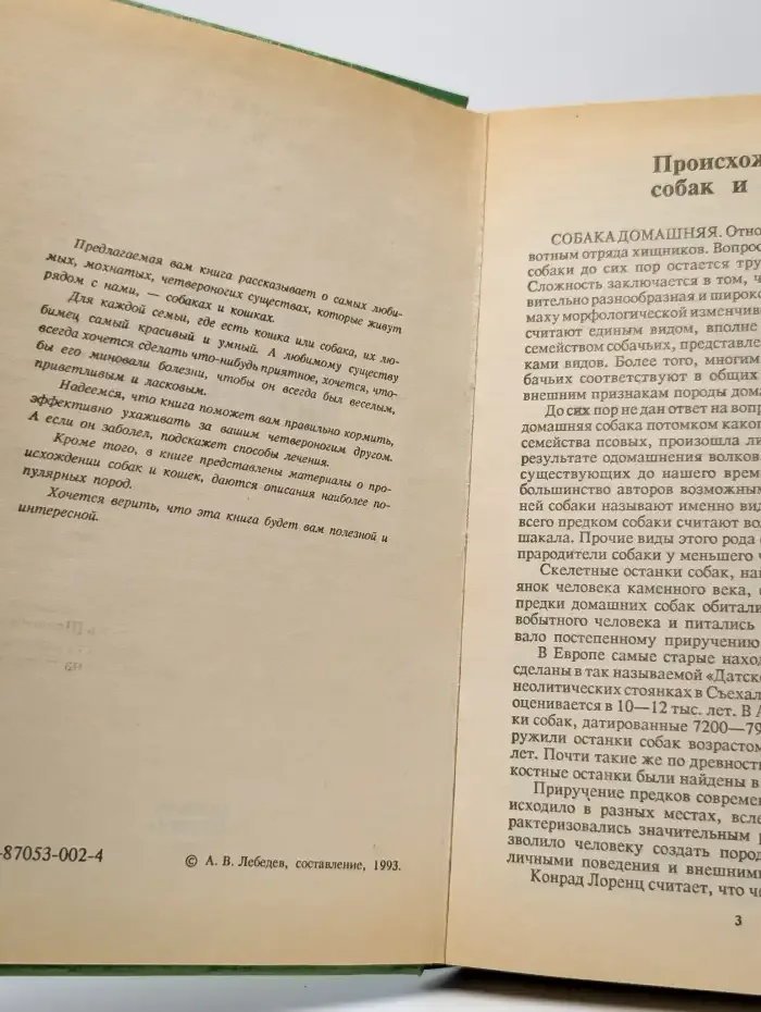 Ваши домашние любимцы