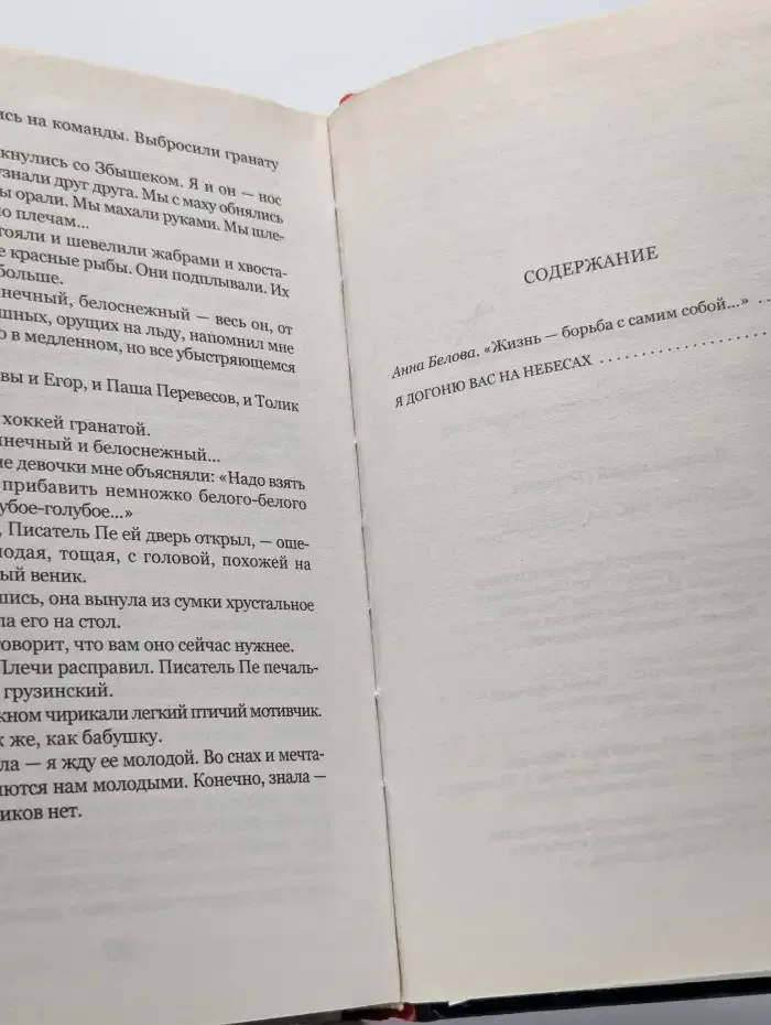 Я догоню вас на небесах