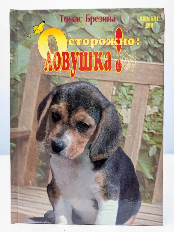 Осторожно: ловушка!