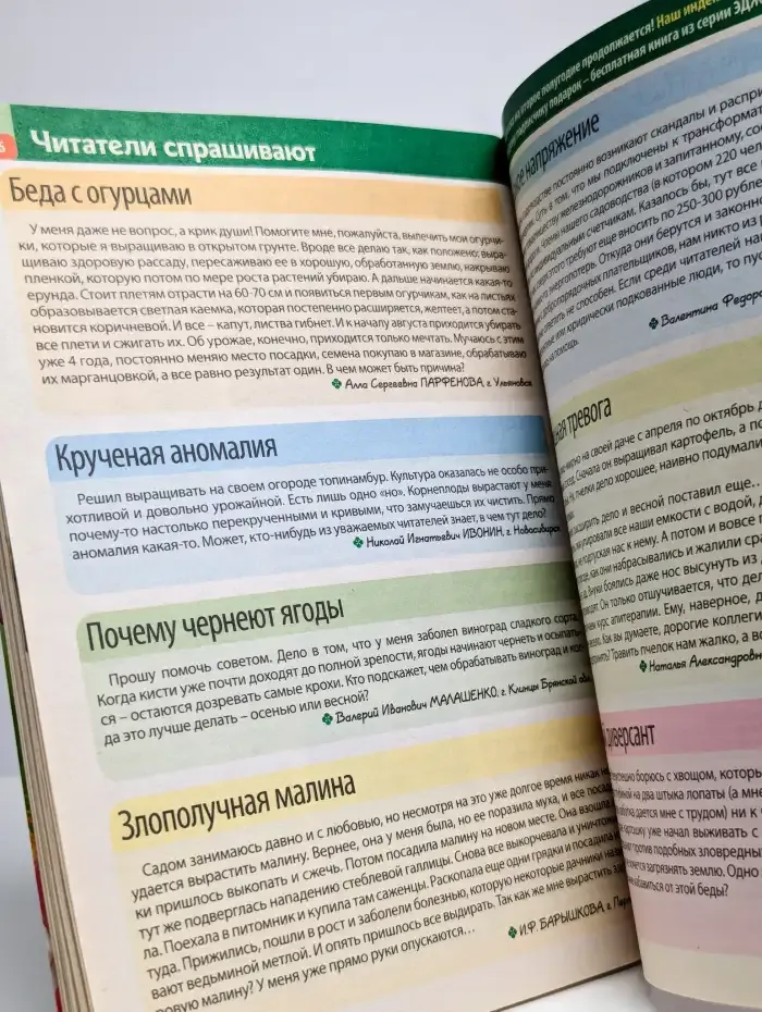 Моя прекрасная дача. Номер 10. 2014