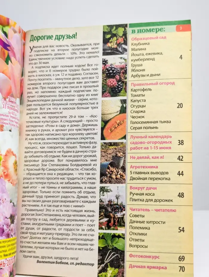 Моя прекрасная дача. Номер 10. 2014