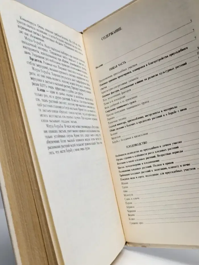 Приусадебный сад