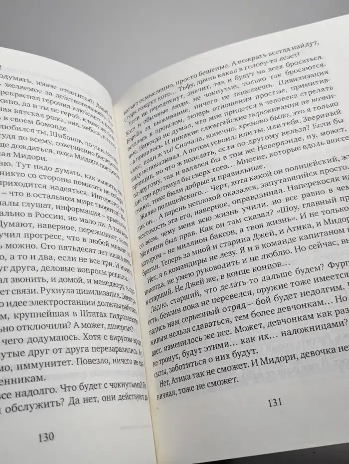 Армагеддон. Книга 1. Крушение Америки