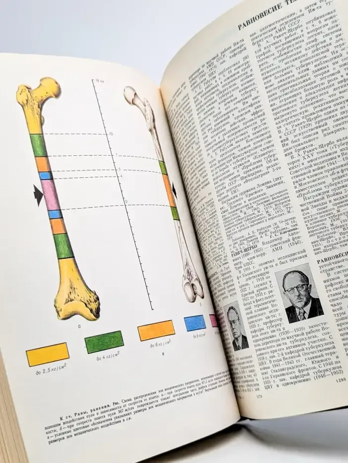БМЭ. Том 21. Преднизон - Растворимость