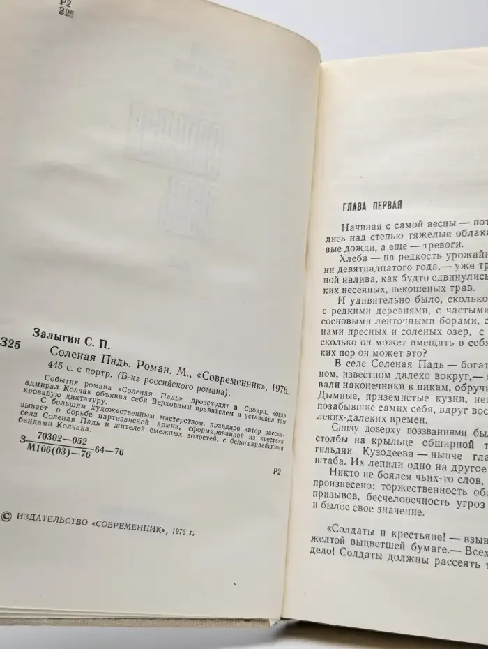Соленая Падь