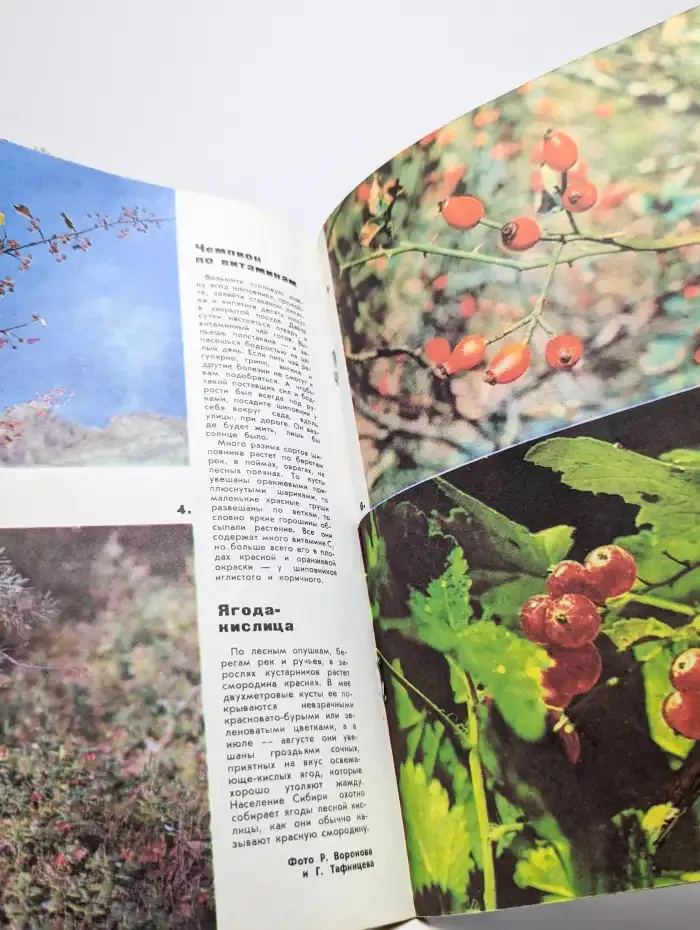 Юный натуралист. Выпуск № 7/1973