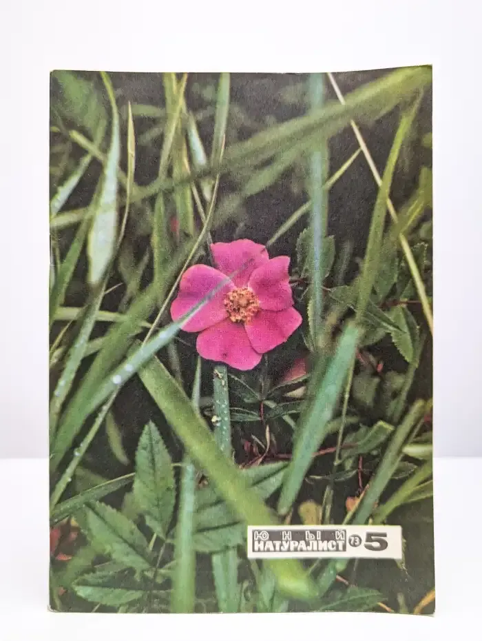 Юный натуралист. Выпуск № 5/1973
