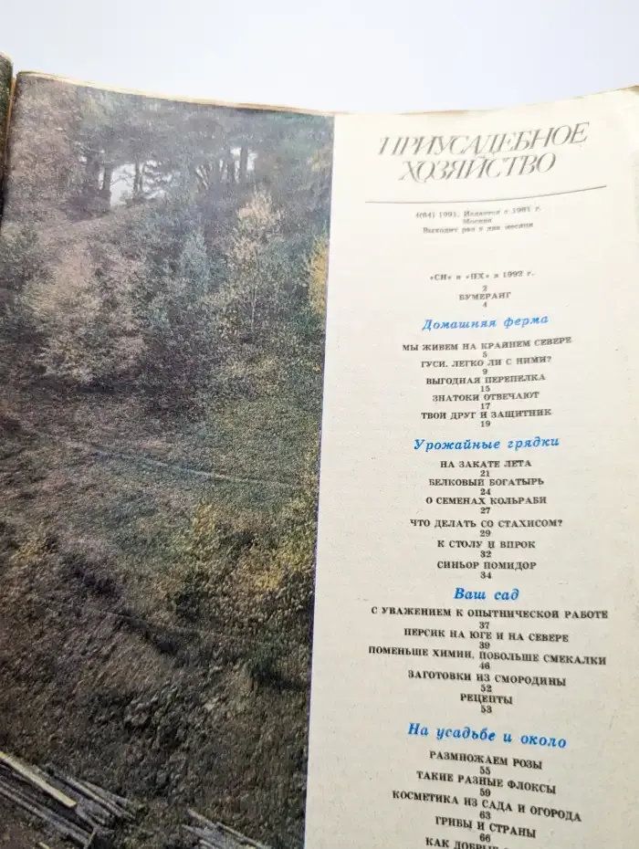Приусадебное хозяйство №4, 1991