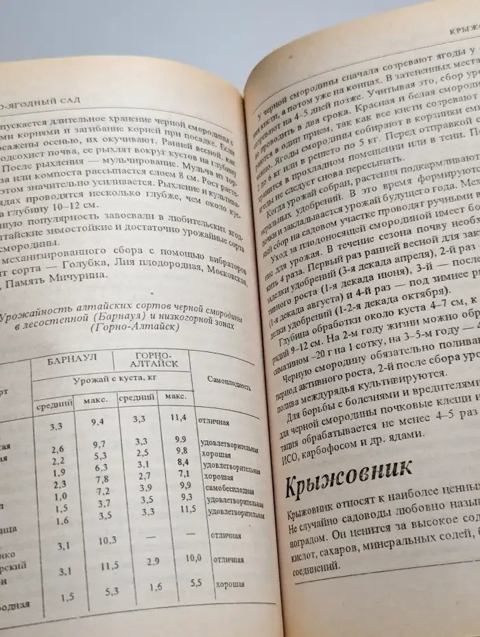 Ваш сад