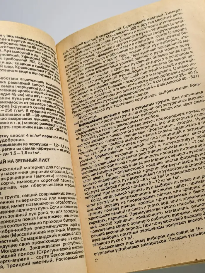 Витамины с грядки