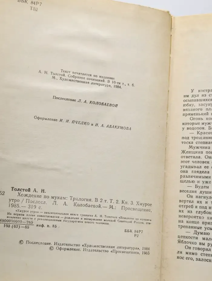 Хождение по мукам. В двух томах. Том 2. Книга 3. Хмурое утро