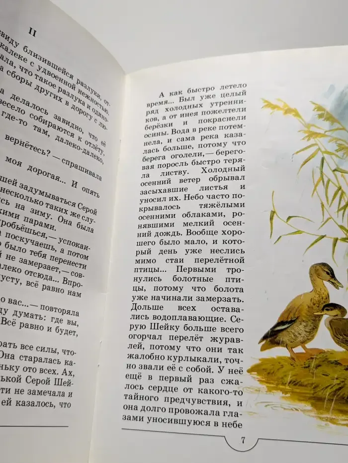 Серая шейка. Сказка