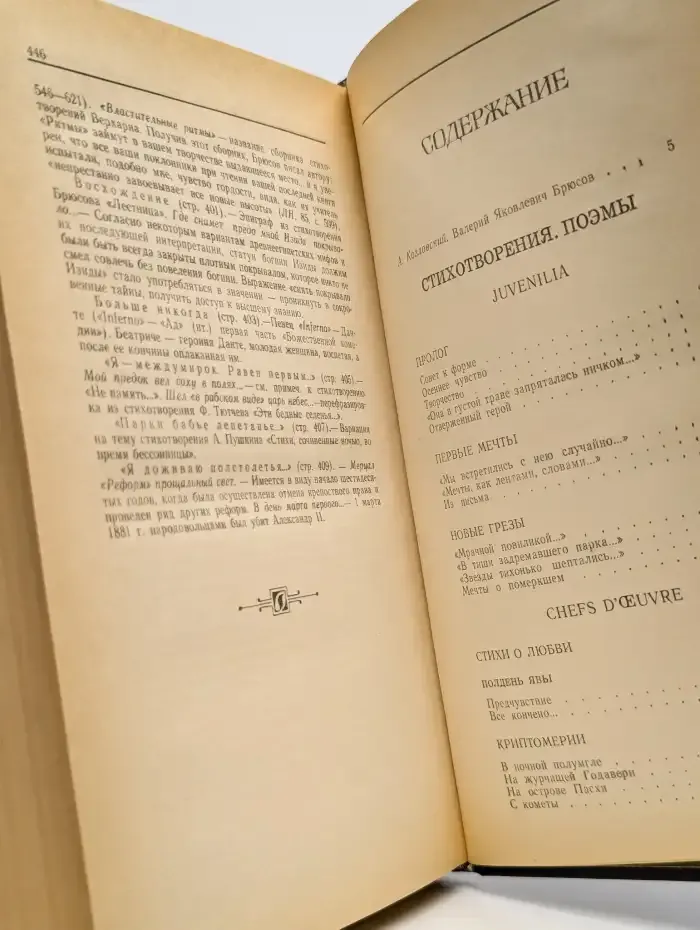 В. Я. Брюсов. Избранное