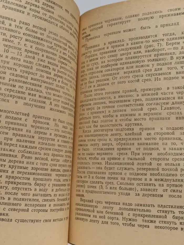 Саду цвесть