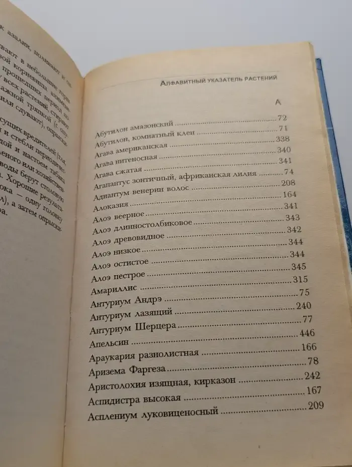 Растения в интерьере