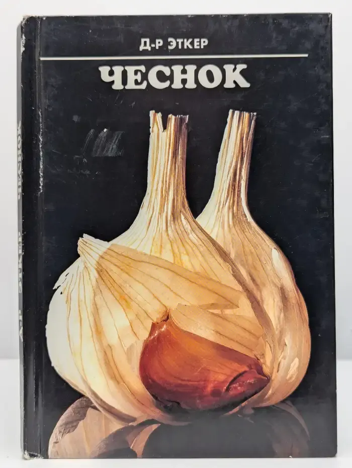 Чеснок