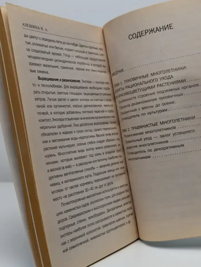 Шикарный цветник из многолетников для тех, кому некогда