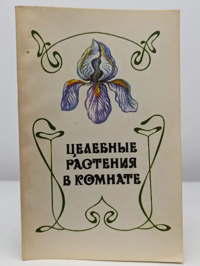 Целебные растения в комнате