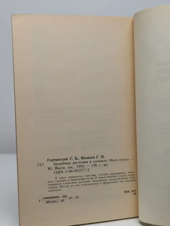 Целебные растения в комнате