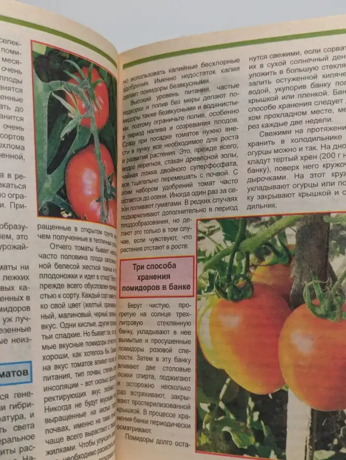 Соберем, сохраним, заготовим урожай. № 17