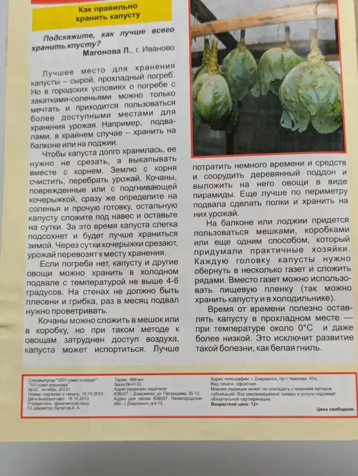 Журнал 1001 совет и секрет №22 октябрь 2013