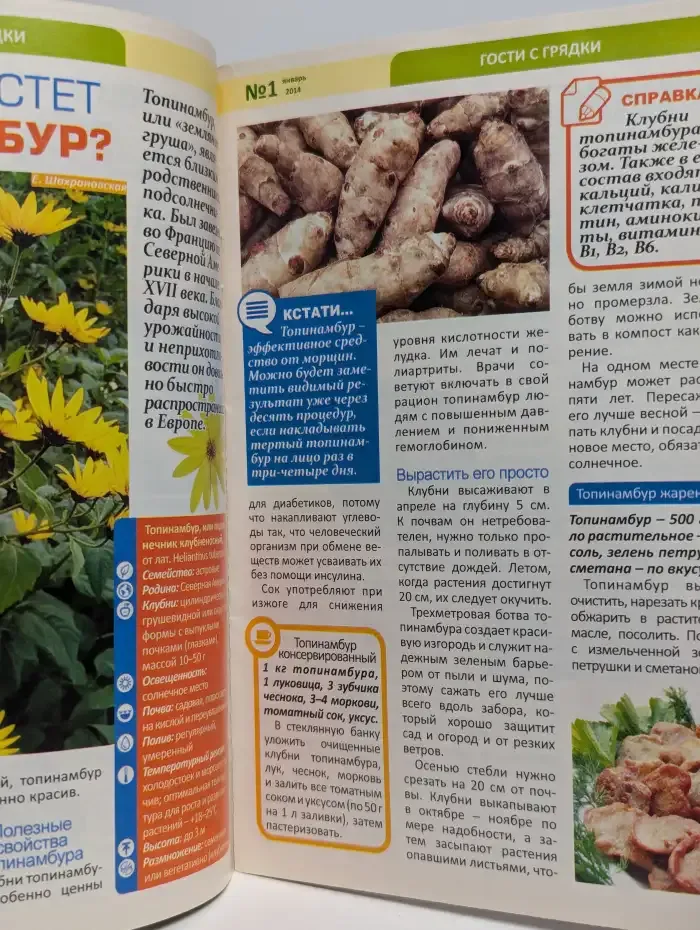Журнал"Дачный клуб". Выпуск № 1, 2014