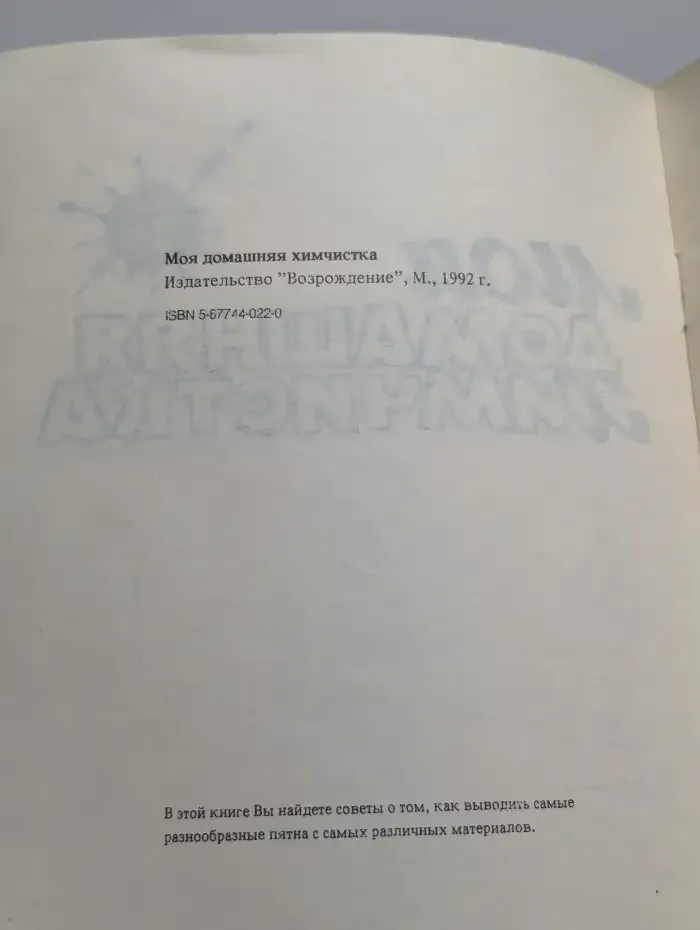 Моя домашняя химчистка