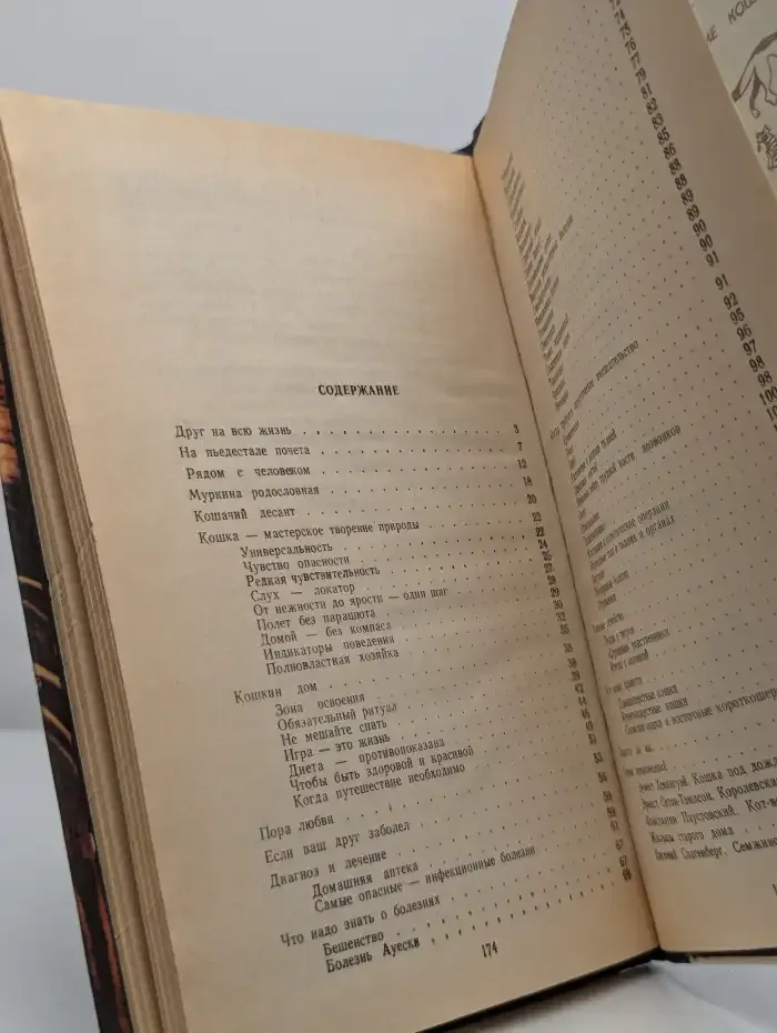 Страшнее кошки зверя нет