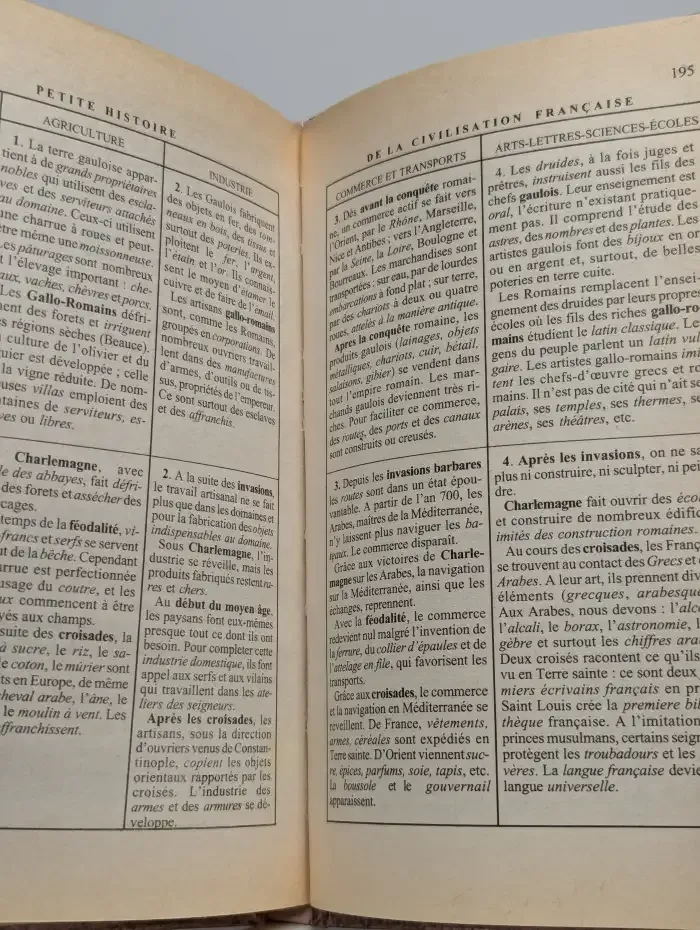 История Франции. С древнейших времен до 1789 года