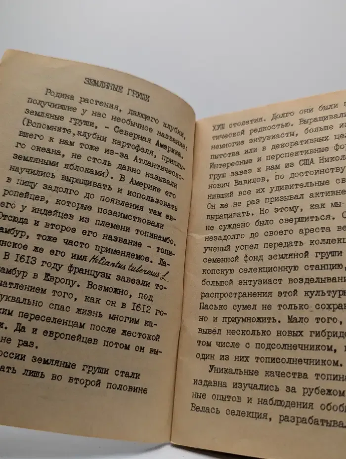Земляные груши