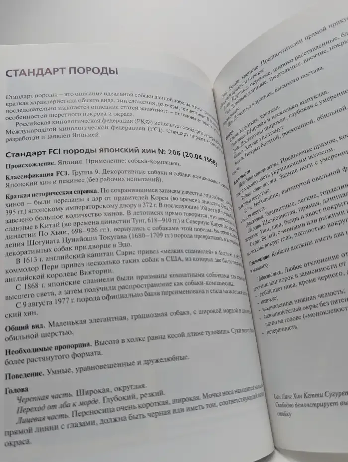 Японский хин. Содержание и уход