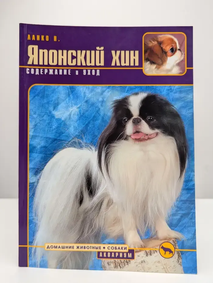 Японский хин. Содержание и уход