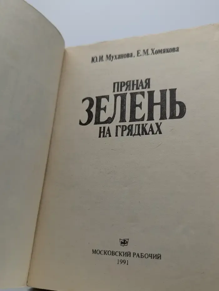 Пряная зелень на грядках