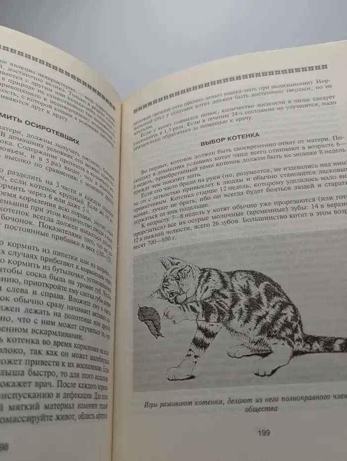 Кошки. Породы, стандарты