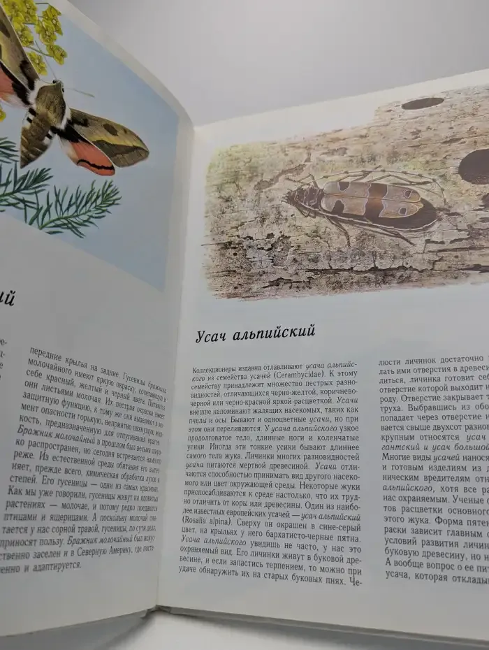 Зверята со всего света