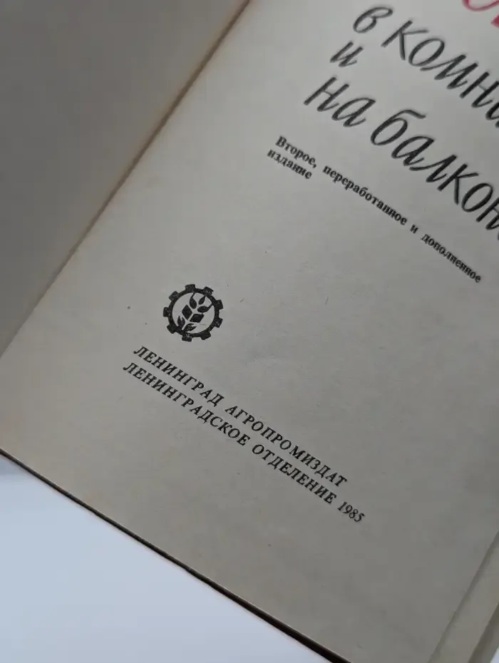 Цветы в комнате и на балконе