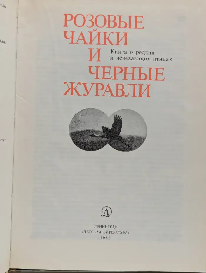 Розовые чайки и черные журавли