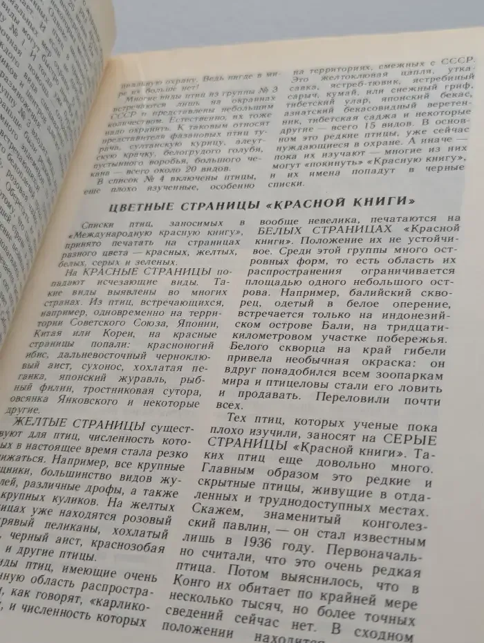 Розовые чайки и черные журавли