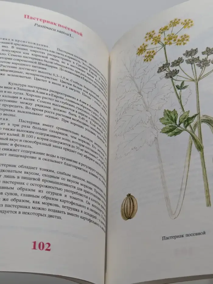 Пряности