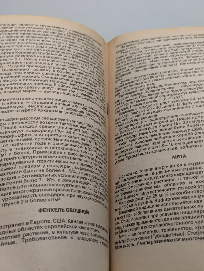 Витамины с грядки