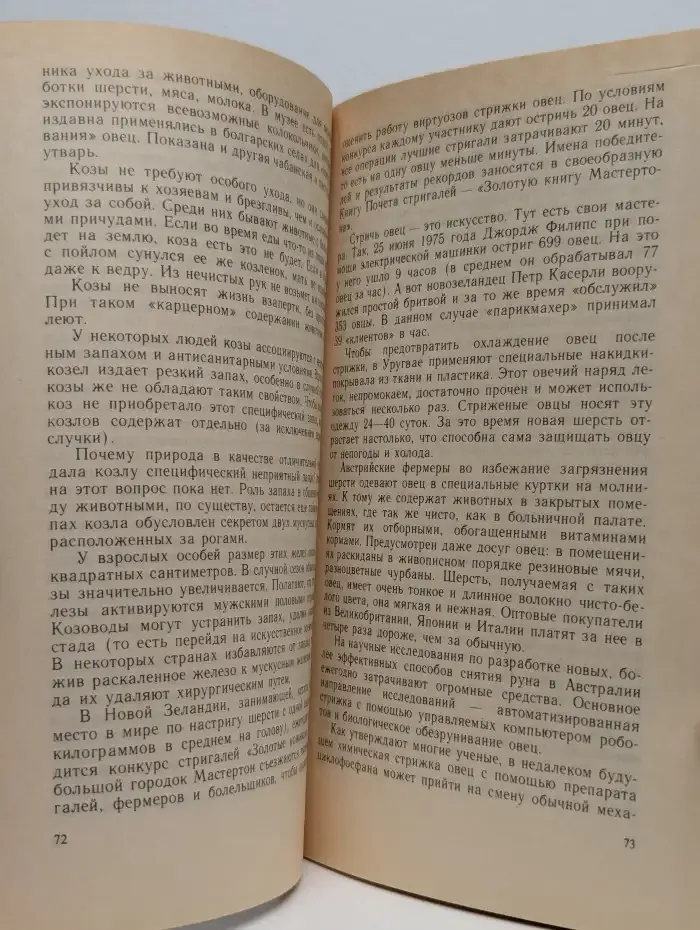 Беседы о домашних животных