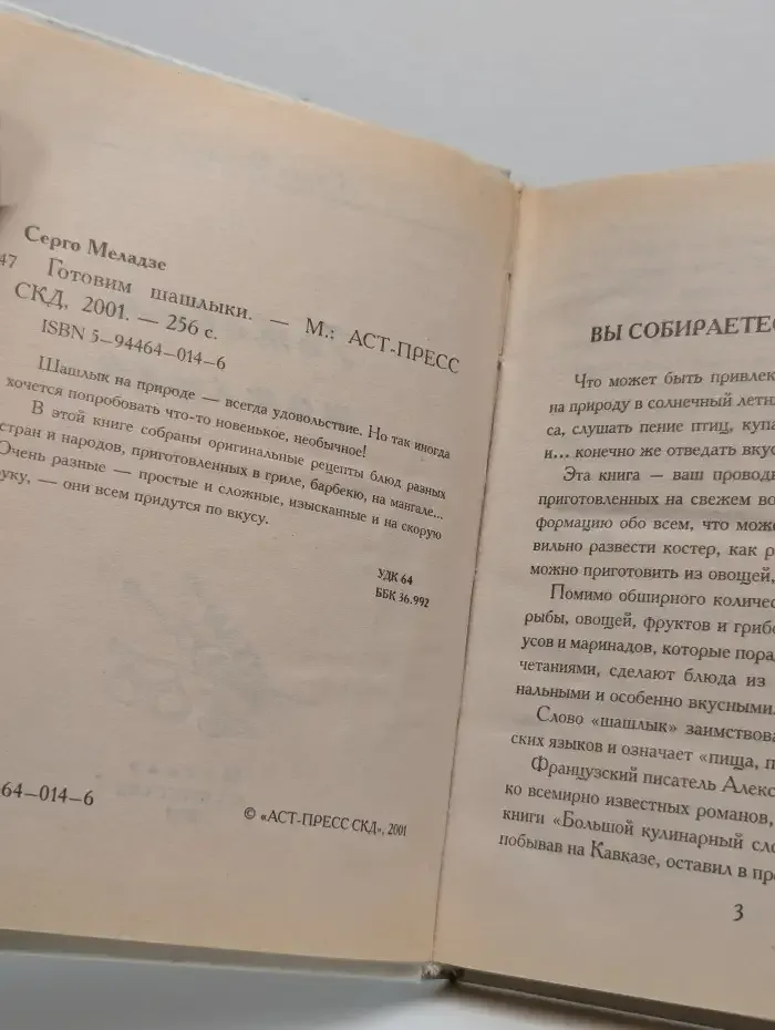 Готовим шашлыки