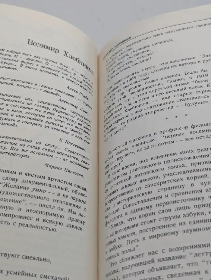 Дневник моих встреч. Цикл трагедий