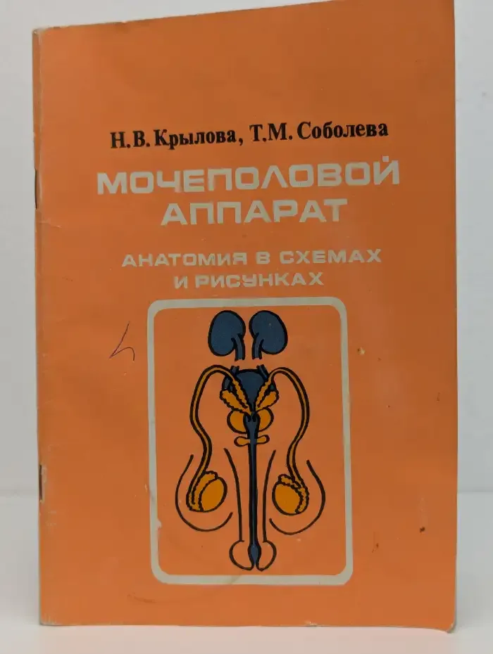 Мочеполовой аппарат