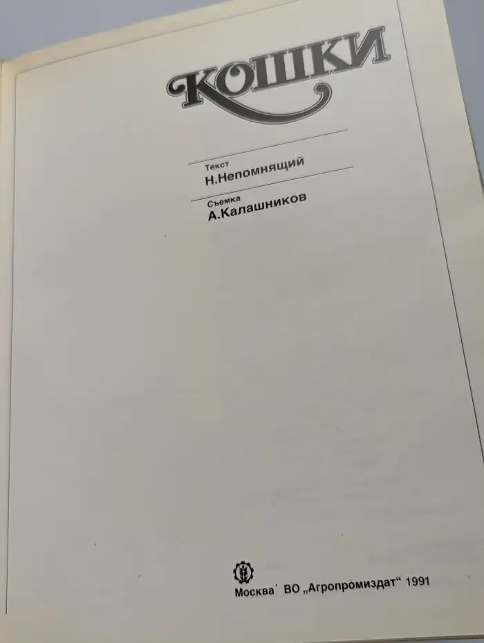 Кошки
